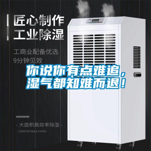 你說你有點難追，濕氣都知難而退！