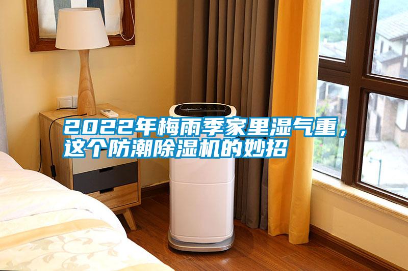 2022年梅雨季家里濕氣重，這個防潮除濕機的妙招