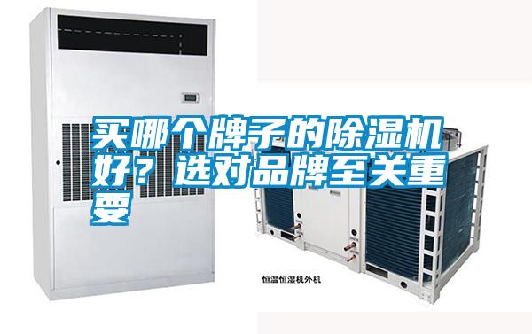 買哪個牌子的除濕機好？選對品牌至關重要