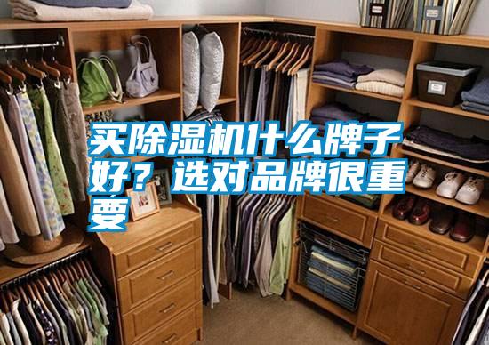 買除濕機什么牌子好？選對品牌很重要