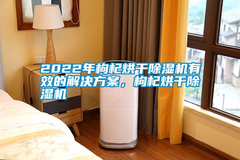 2022年枸杞烘干除濕機有效的解決方案，枸杞烘干除濕機