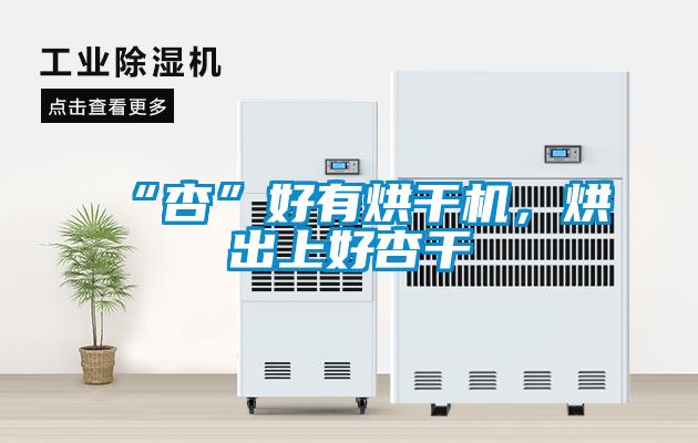 “杏”好有烘干機，烘出上好杏干