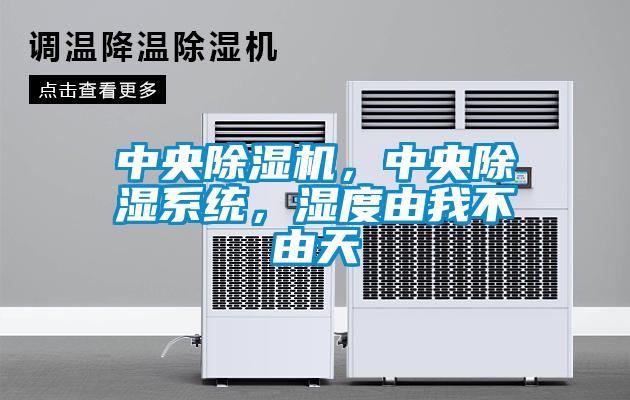 中央除濕機(jī)，中央除濕系統(tǒng)，濕度由我不由天