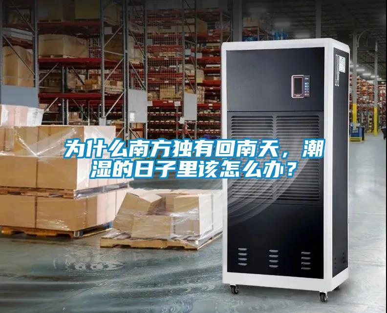 為什么南方獨有回南天，潮濕的日子里該怎么辦？