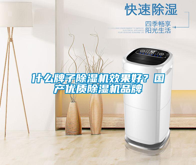 什么牌子除濕機效果好？國產優質除濕機品牌