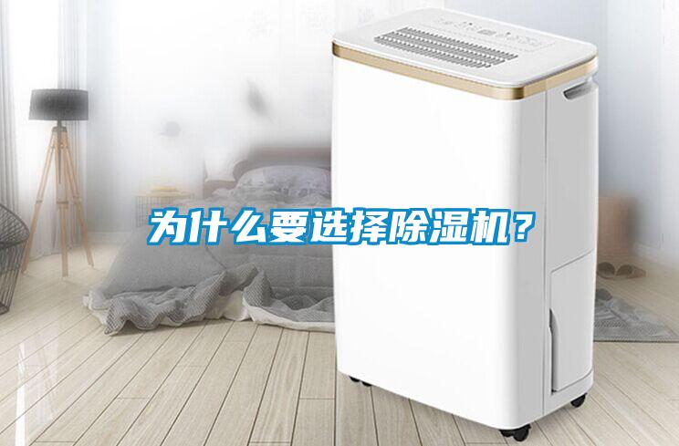 為什么要選擇除濕機(jī)？