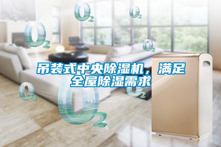 吊裝式中央除濕機，滿足全屋除濕需求