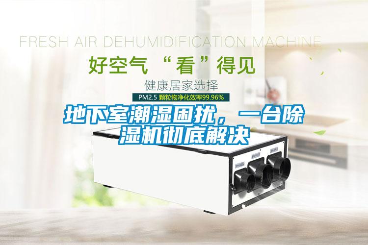 地下室潮濕困擾，一臺(tái)除濕機(jī)徹底解決