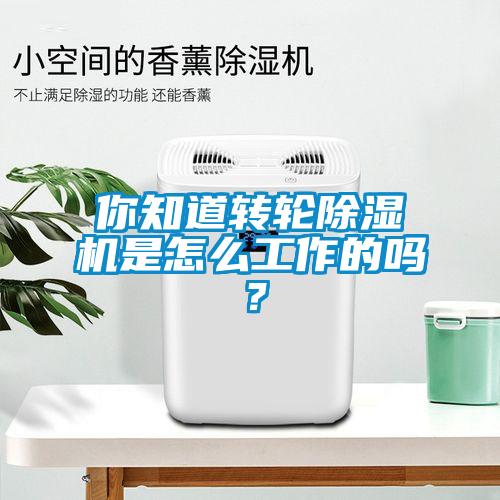 你知道轉(zhuǎn)輪除濕機(jī)是怎么工作的嗎？