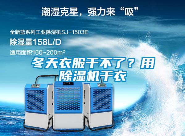 冬天衣服干不了？用除濕機干衣