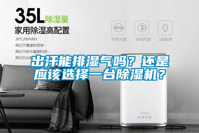 出汗能排濕氣嗎？還是應該選擇一臺除濕機？