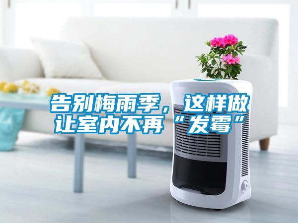 告別梅雨季，這樣做讓室內不再“發(fā)霉”