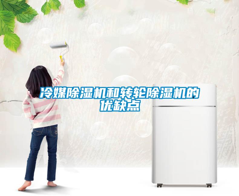 冷媒除濕機(jī)和轉(zhuǎn)輪除濕機(jī)的優(yōu)缺點