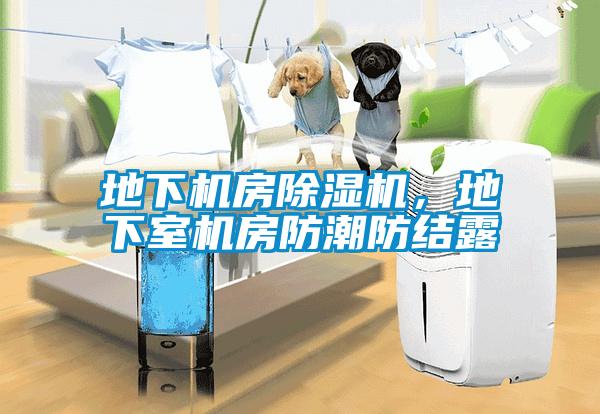 地下機房除濕機，地下室機房防潮防結露