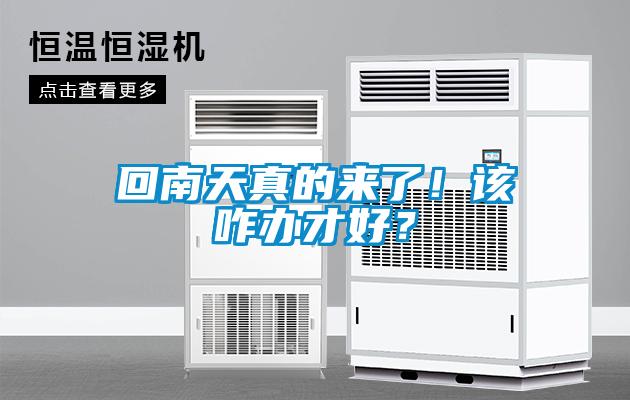 回南天真的來(lái)了！該咋辦才好？