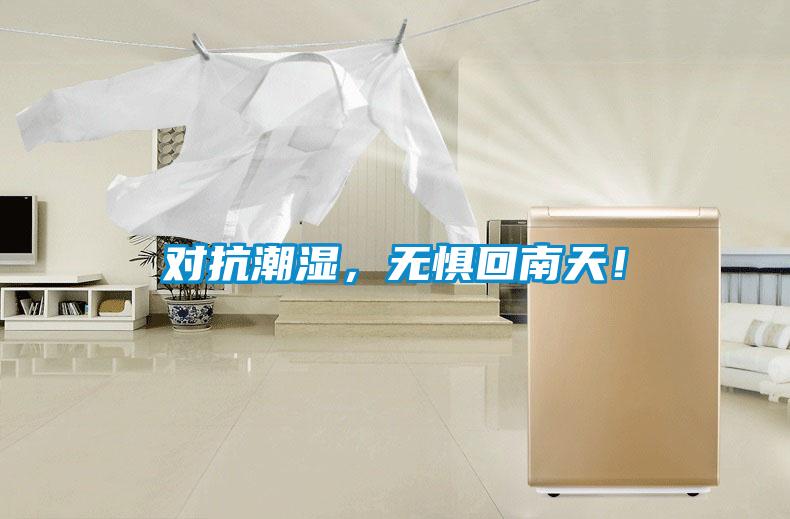 對抗潮濕，無懼回南天！