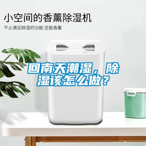回南天潮濕，除濕該怎么做？