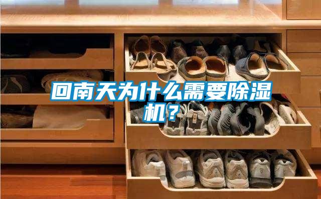 回南天為什么需要除濕機？