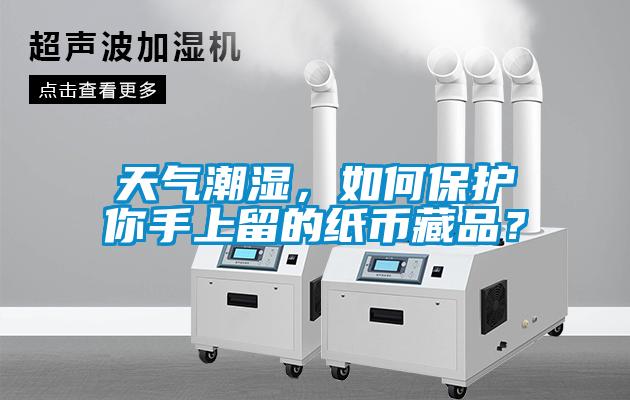 天氣潮濕，如何保護你手上留的紙幣藏品？