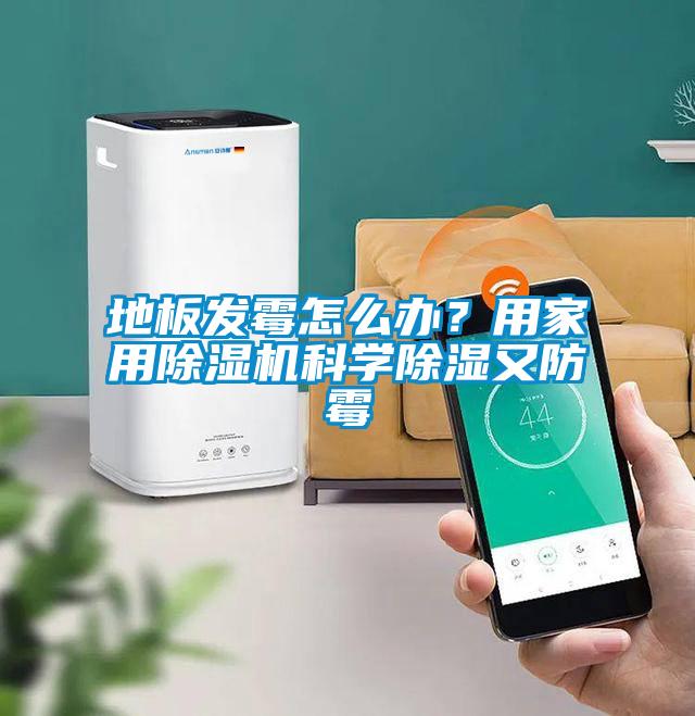 地板發霉怎么辦？用家用除濕機科學除濕又防霉