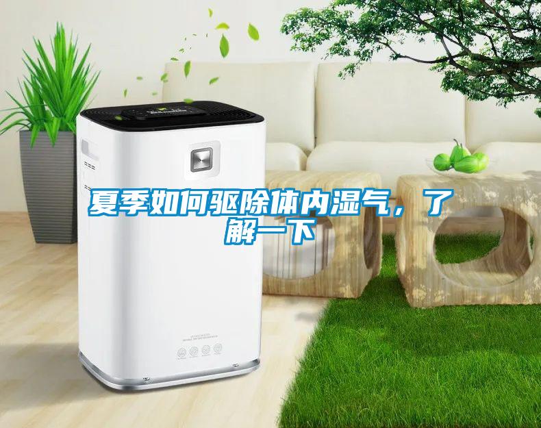 夏季如何驅除體內濕氣，了解一下