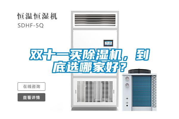 雙十一買除濕機(jī)，到底選哪家好？