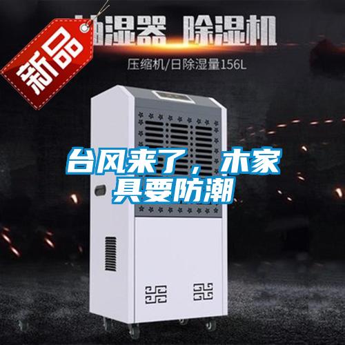 臺風來了，木家具要防潮
