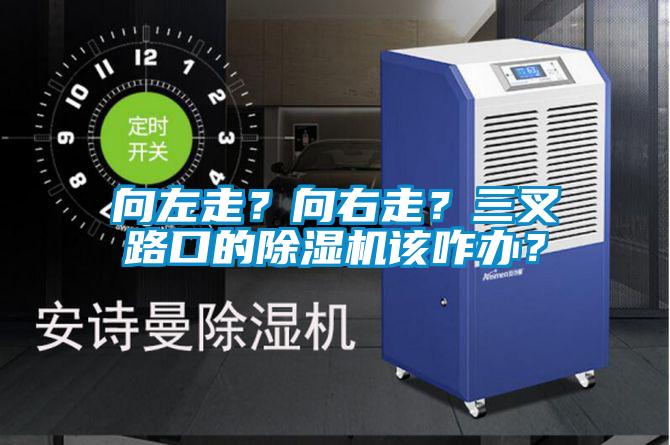 向左走？向右走？三叉路口的除濕機該咋辦？