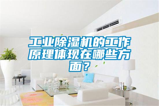 工業除濕機的工作原理體現在哪些方面？