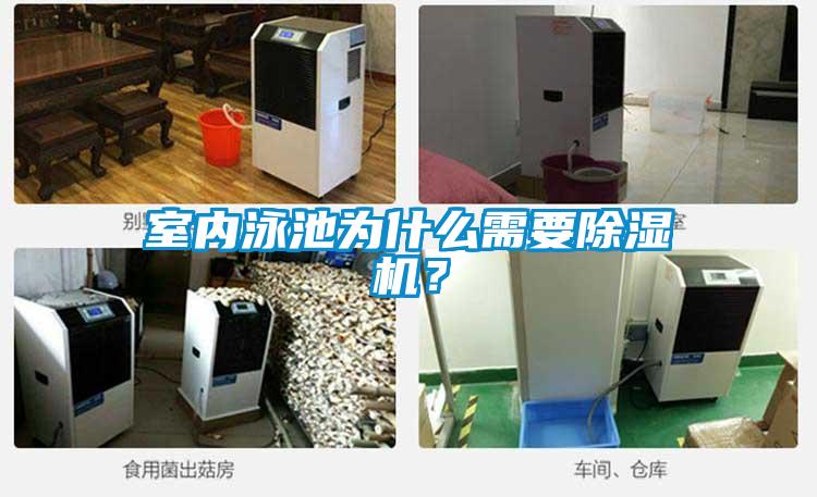 室內(nèi)泳池為什么需要除濕機(jī)？