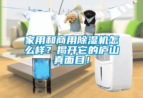 家用和商用除濕機(jī)怎么樣？揭開它的廬山真面目！
