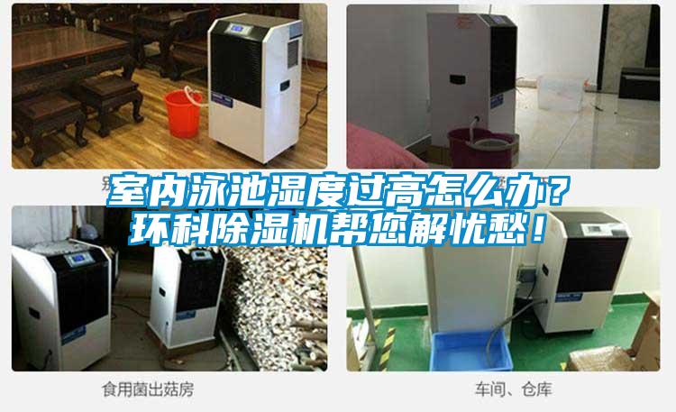 室內(nèi)泳池濕度過高怎么辦？環(huán)科除濕機(jī)幫您解憂愁！