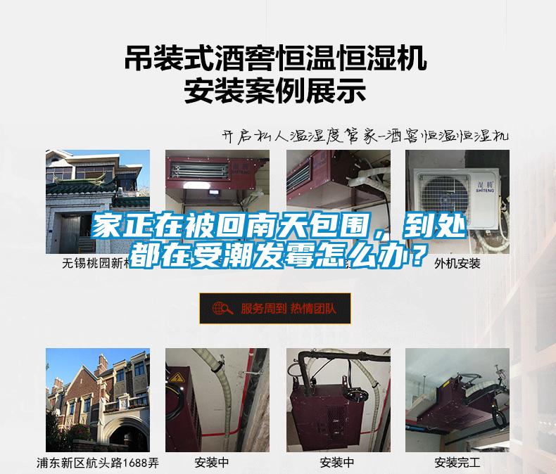 家正在被回南天包圍，到處都在受潮發(fā)霉怎么辦？