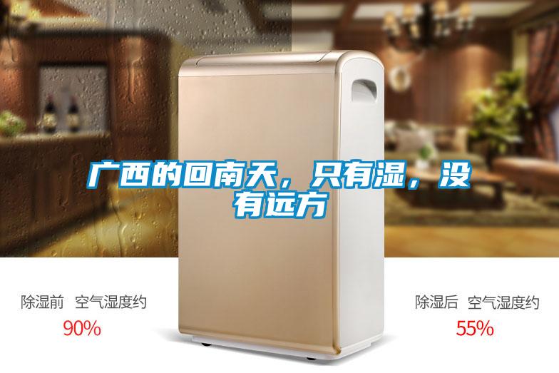 廣西的回南天，只有濕，沒有遠方