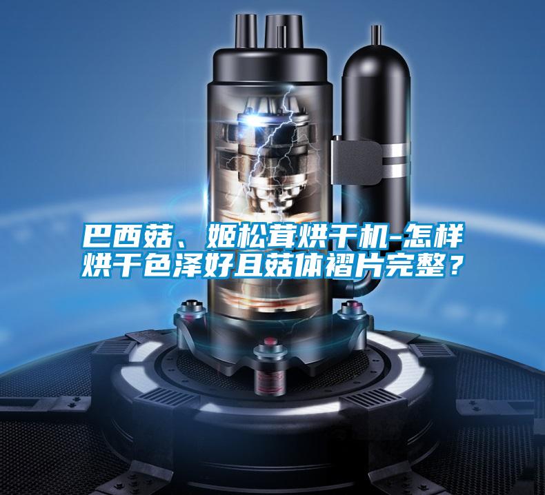 巴西菇、姬松茸烘干機-怎樣烘干色澤好且菇體褶片完整？