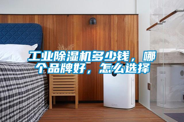 工業(yè)除濕機(jī)多少錢，哪個(gè)品牌好，怎么選擇