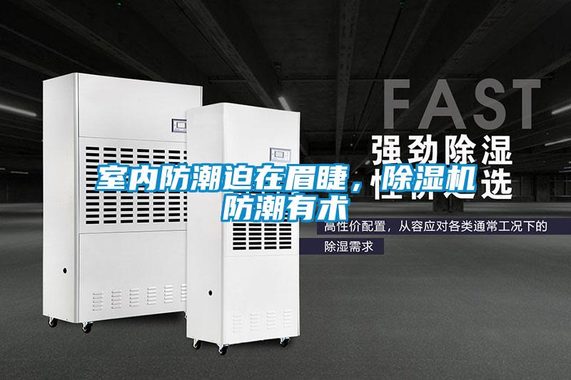 室內防潮迫在眉睫，除濕機防潮有術