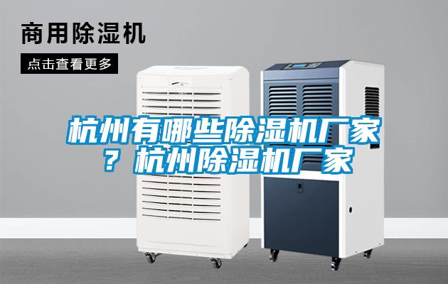 杭州有哪些除濕機廠家？杭州除濕機廠家
