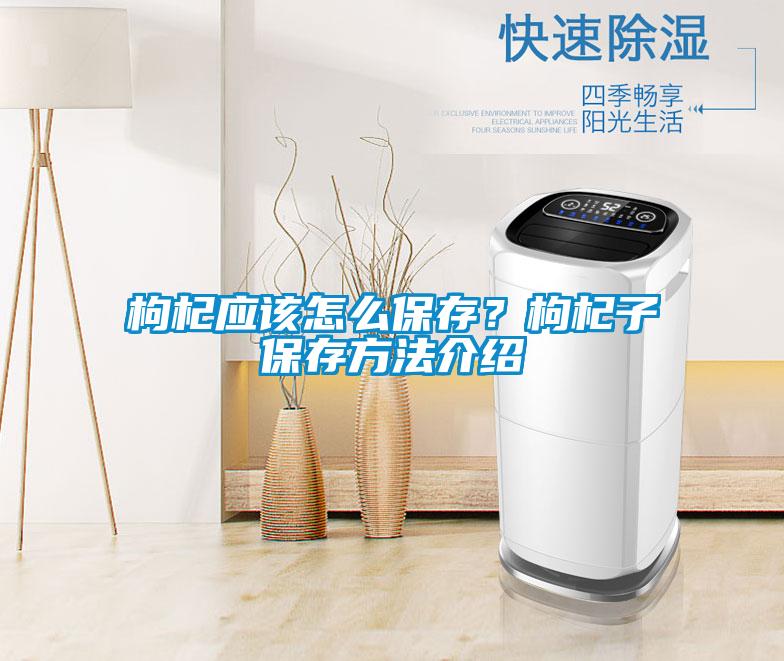 枸杞應(yīng)該怎么保存？枸杞子保存方法介紹