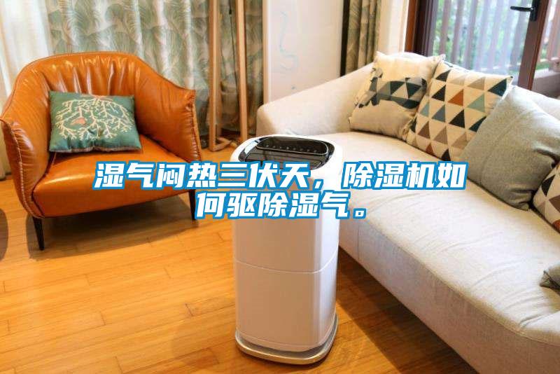 濕氣悶熱三伏天，除濕機如何驅(qū)除濕氣。