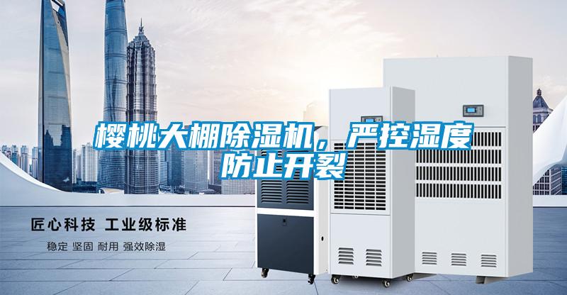 櫻桃大棚除濕機，嚴控濕度防止開裂