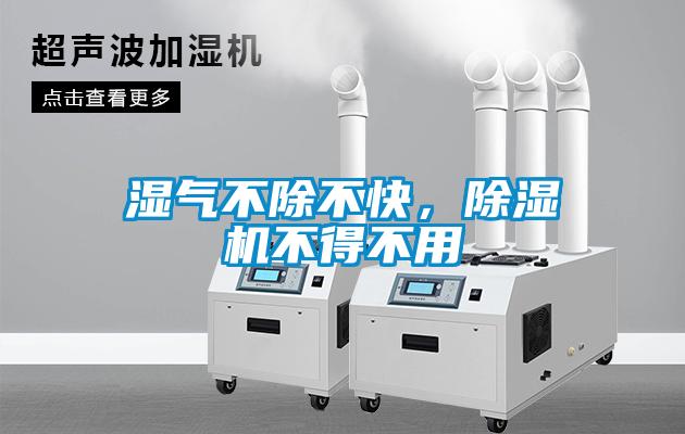 濕氣不除不快，除濕機(jī)不得不用