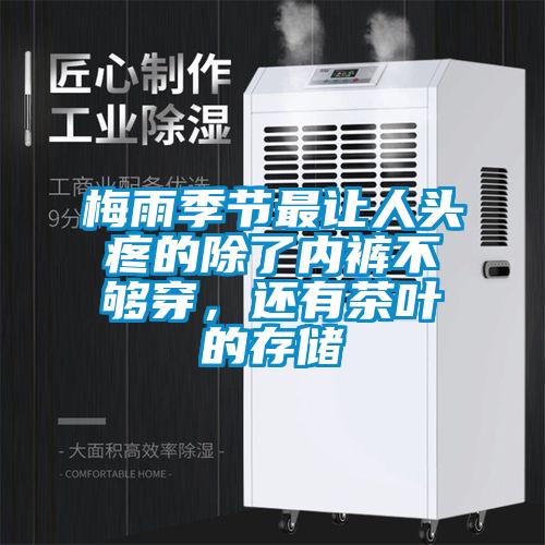 梅雨季節最讓人頭疼的除了內褲不夠穿，還有茶葉的存儲