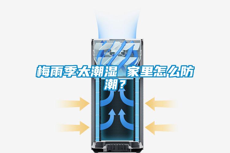 梅雨季太潮濕 家里怎么防潮？