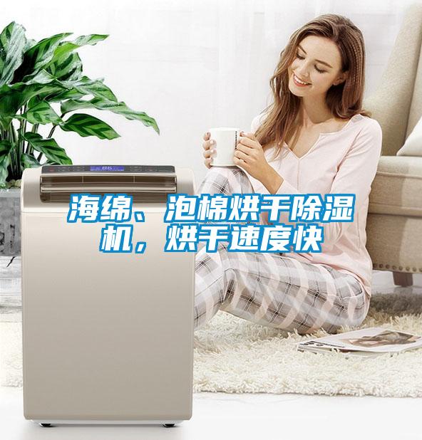 海綿、泡棉烘干除濕機，烘干速度快