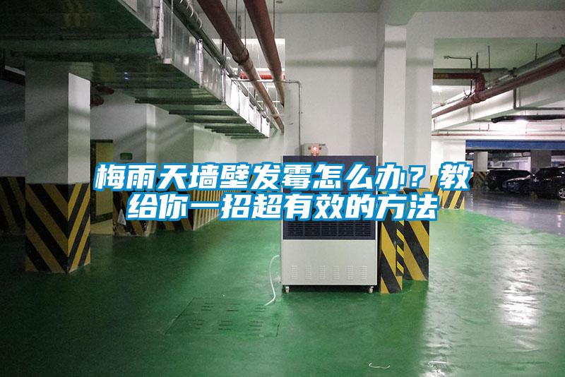 梅雨天墻壁發(fā)霉怎么辦？教給你一招超有效的方法