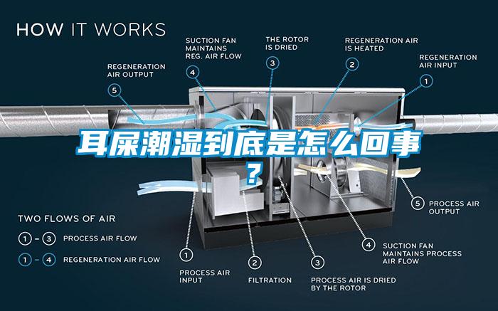 耳屎潮濕到底是怎么回事？