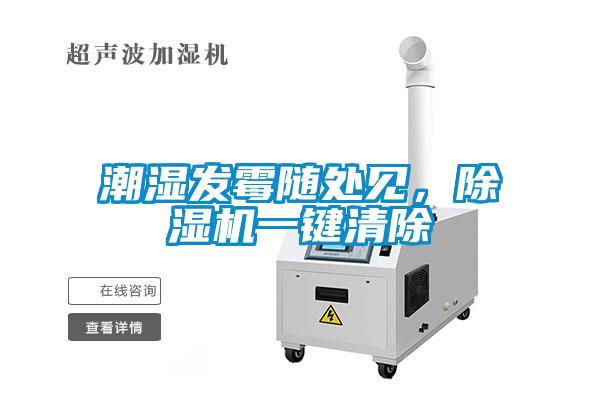 潮濕發霉隨處見，除濕機一鍵清除