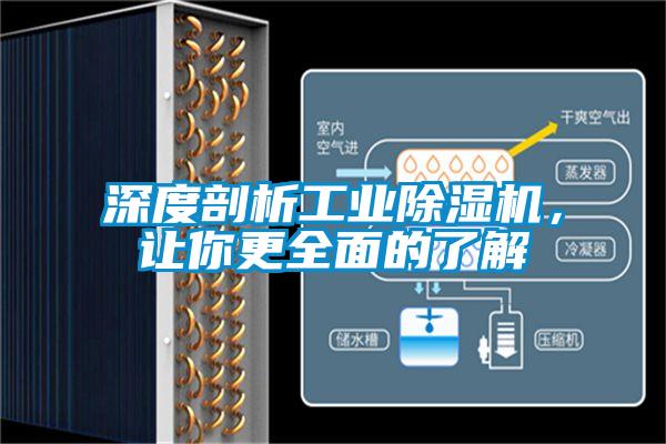 深度剖析工業除濕機，讓你更全面的了解