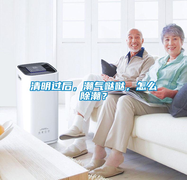 清明過后，潮氣噠噠，怎么除潮？